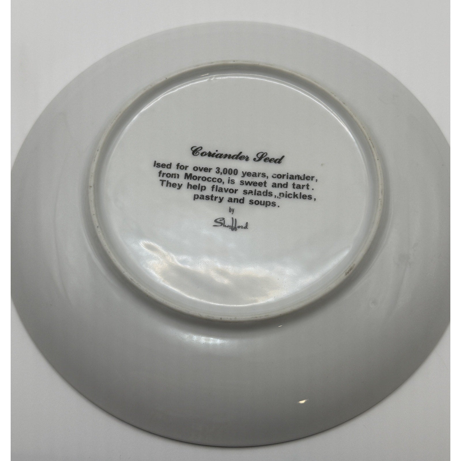 Shafford Herb Garden Coriander Seed Salad Plate Japan Botanical Plant Plate