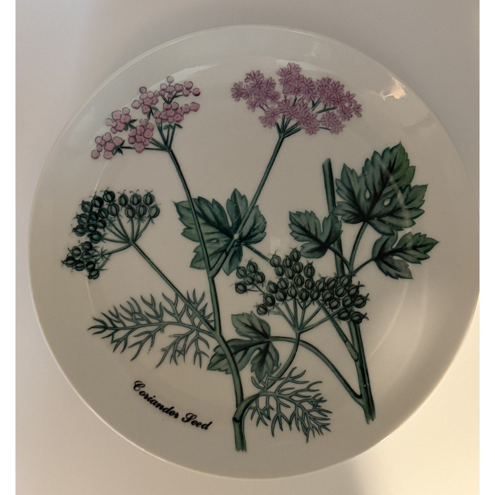 Shafford Herb Garden Coriander Seed Salad Plate Japan Botanical Plant Plate