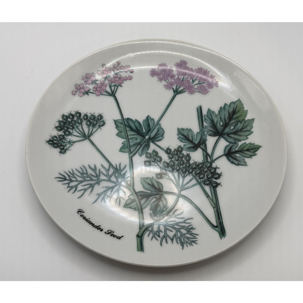 Shafford Herb Garden Coriander Seed Salad Plate Japan Botanical Plant Plate