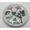 Shafford Herb Garden Coriander Seed Salad Plate Japan Botanical Plant Plate