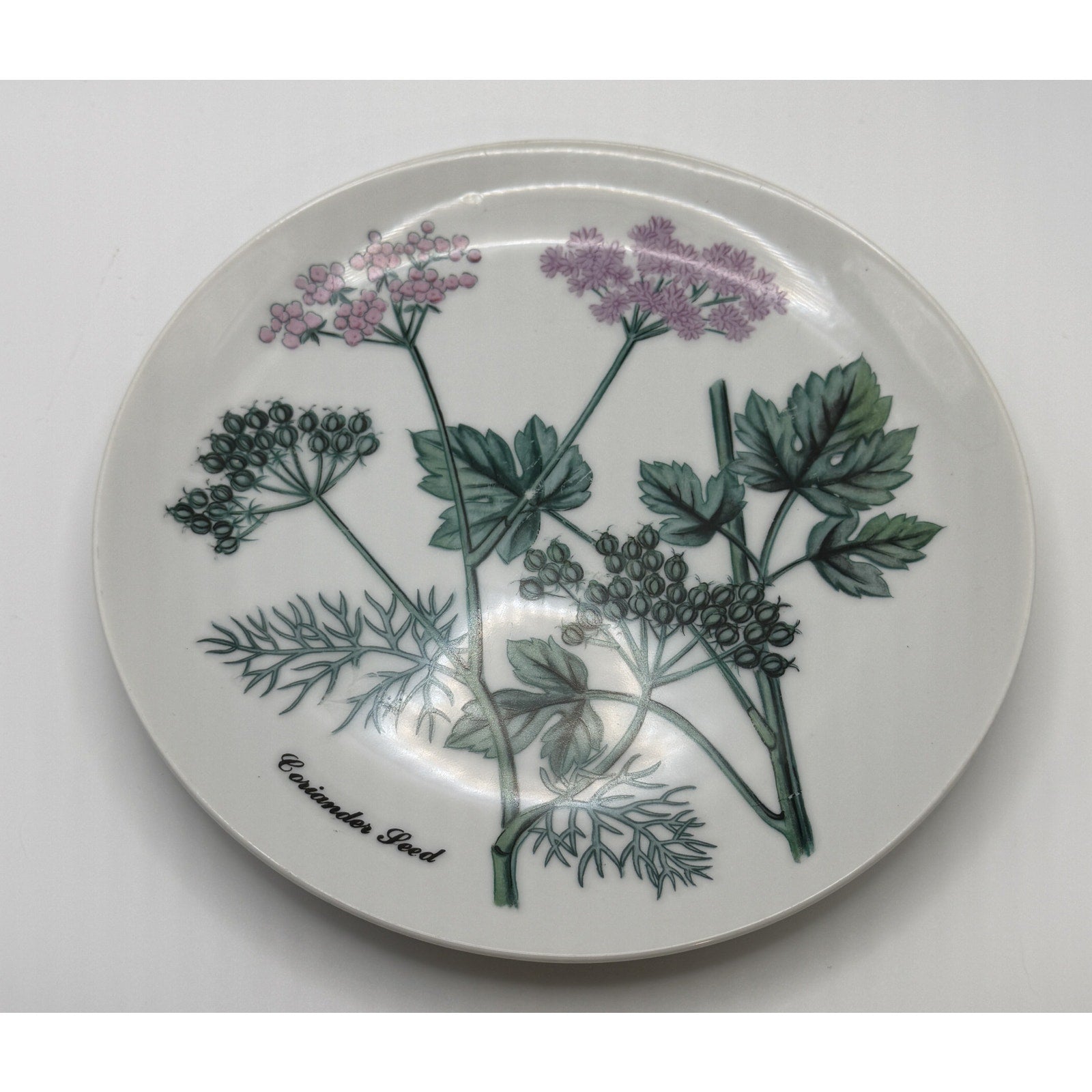 Shafford Herb Garden Coriander Seed Salad Plate Japan Botanical Plant Plate